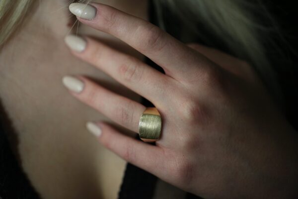 Herrering i 14 karat guld (str 62)